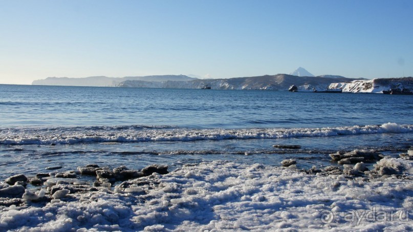 Переименовать "Войковскую" в "Завойковскую"!