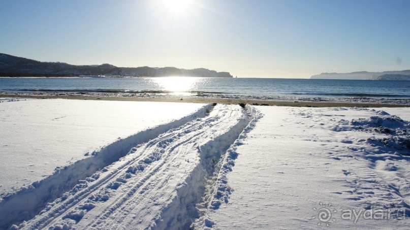 Переименовать "Войковскую" в "Завойковскую"!