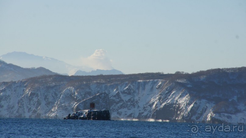 Переименовать "Войковскую" в "Завойковскую"!