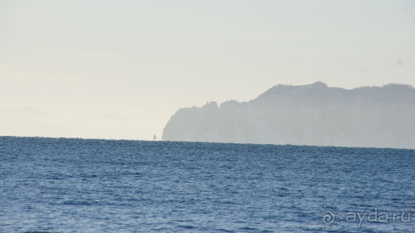 Переименовать "Войковскую" в "Завойковскую"!