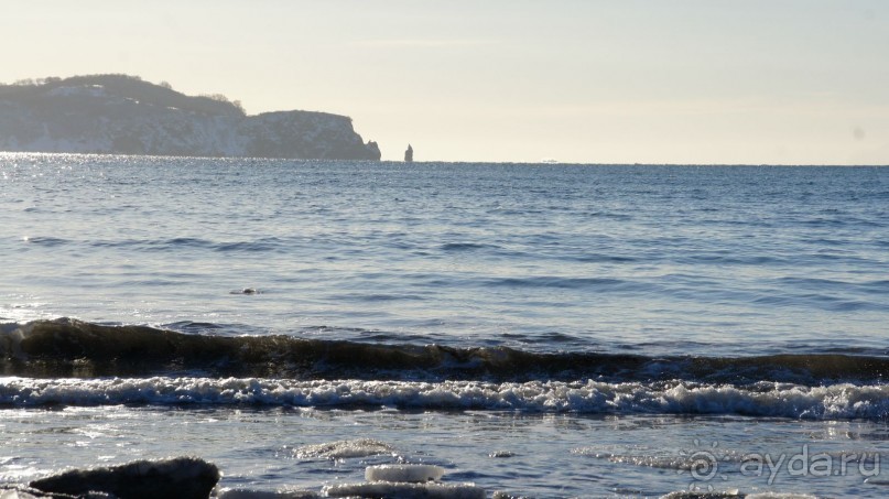 Переименовать "Войковскую" в "Завойковскую"!