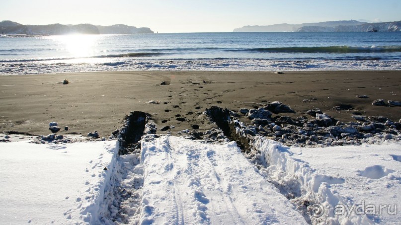 Переименовать "Войковскую" в "Завойковскую"!