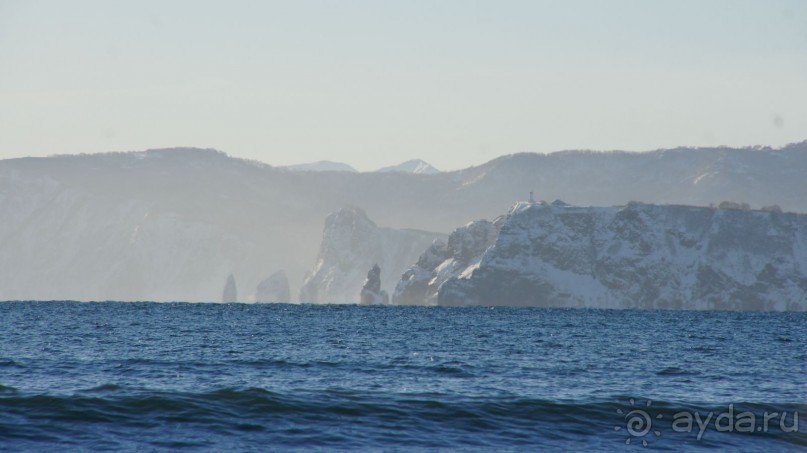Переименовать "Войковскую" в "Завойковскую"!