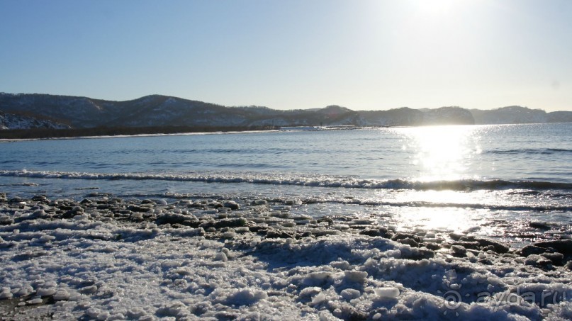 Переименовать "Войковскую" в "Завойковскую"!