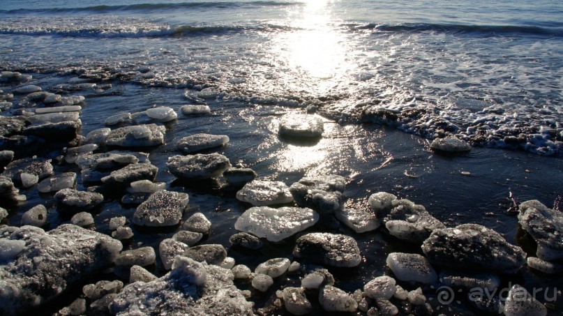 Переименовать "Войковскую" в "Завойковскую"!