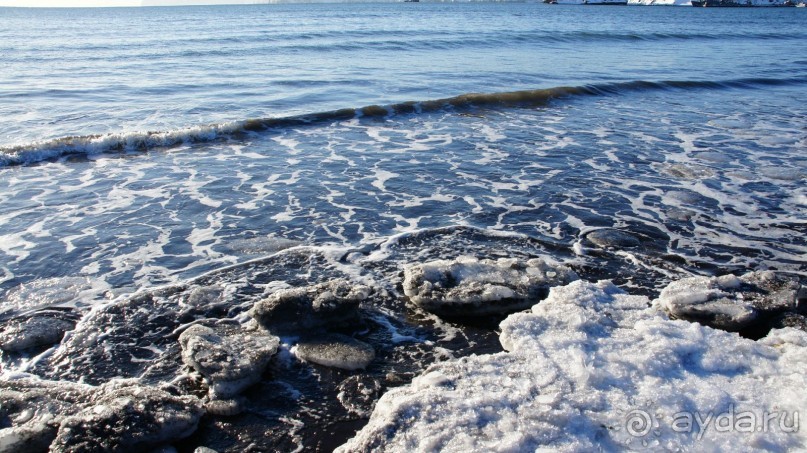 Переименовать "Войковскую" в "Завойковскую"!