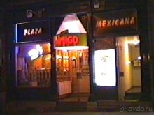 Впервые в Делфте