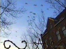 Впервые в Делфте