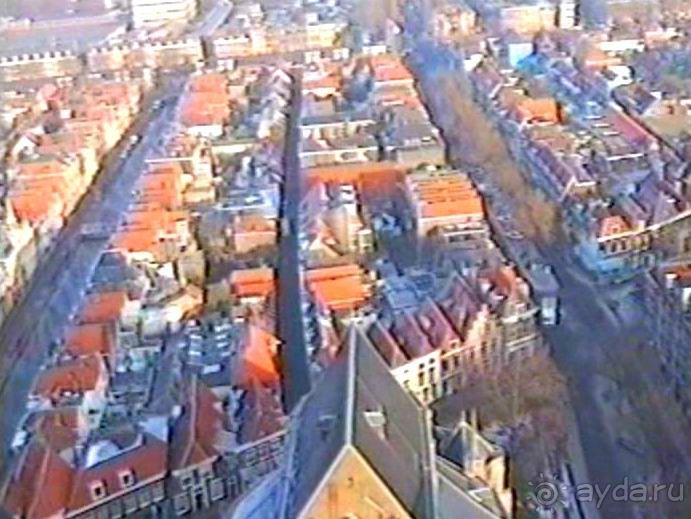 Впервые в Делфте