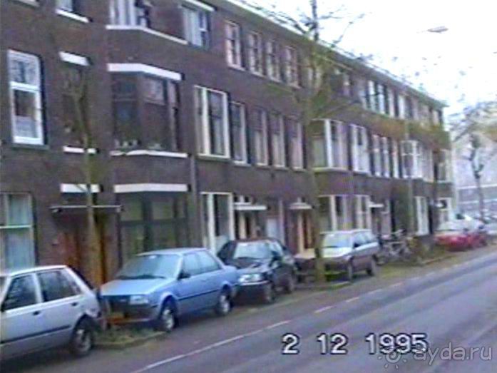 Впервые в Делфте