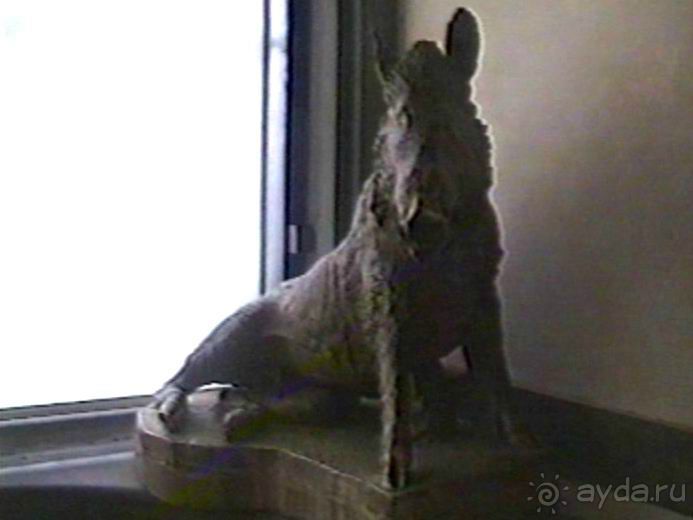 Флоренция и Монтекатини-Терме