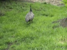 Чарлкот – Стратфорд на Эйвоне – Уорик – Стоунхендж