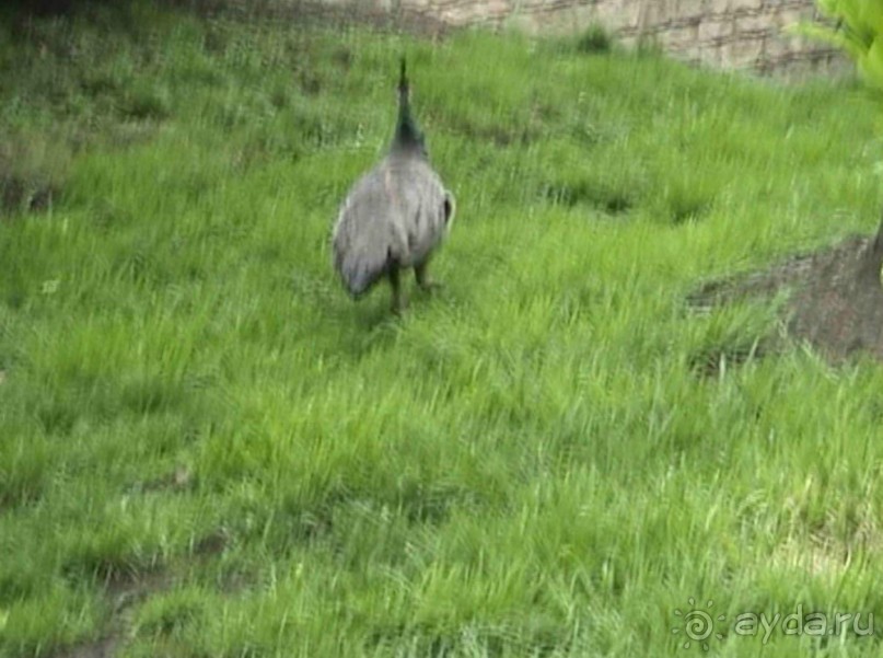 Чарлкот – Стратфорд на Эйвоне – Уорик – Стоунхендж