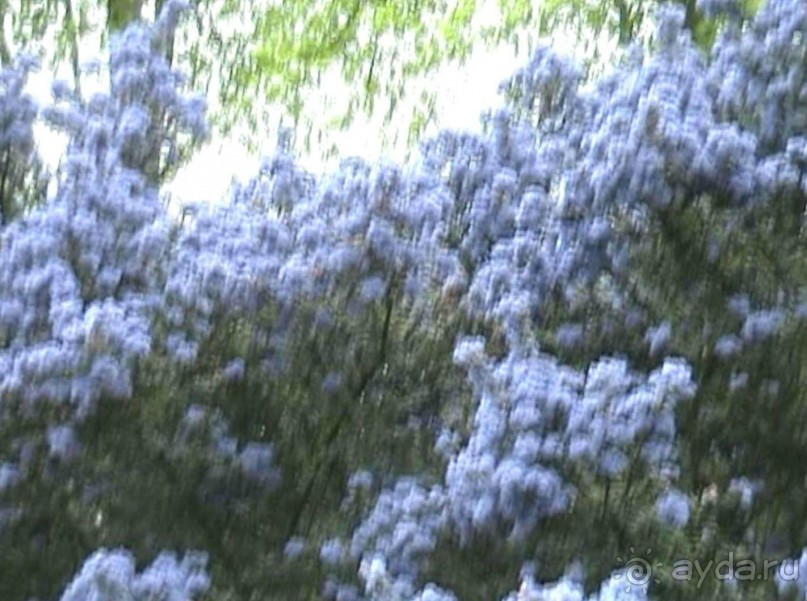 Чарлкот – Стратфорд на Эйвоне – Уорик – Стоунхендж