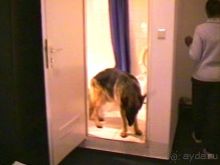 Завершение путешествия. Из Бельгии домой через Берлин