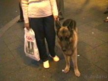 Завершение путешествия. Из Бельгии домой через Берлин