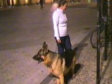 Завершение путешествия. Из Бельгии домой через Берлин