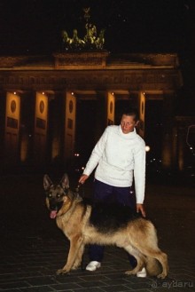 Завершение путешествия. Из Бельгии домой через Берлин