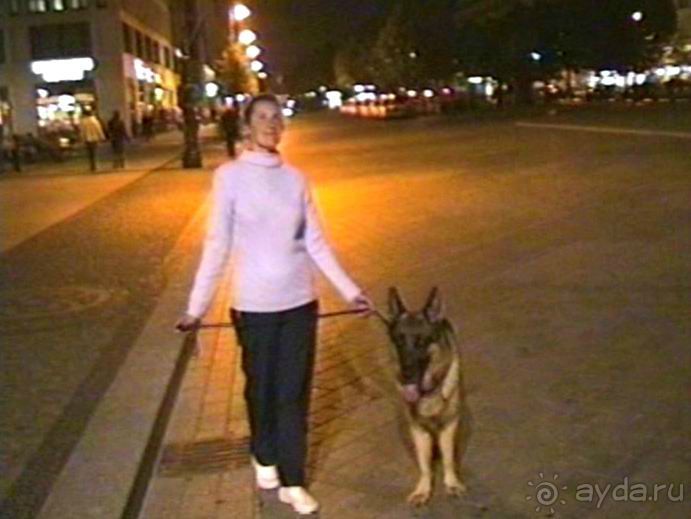 Завершение путешествия. Из Бельгии домой через Берлин