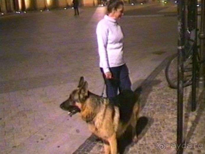 Завершение путешествия. Из Бельгии домой через Берлин