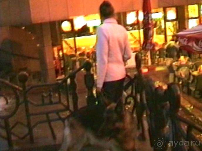 Завершение путешествия. Из Бельгии домой через Берлин