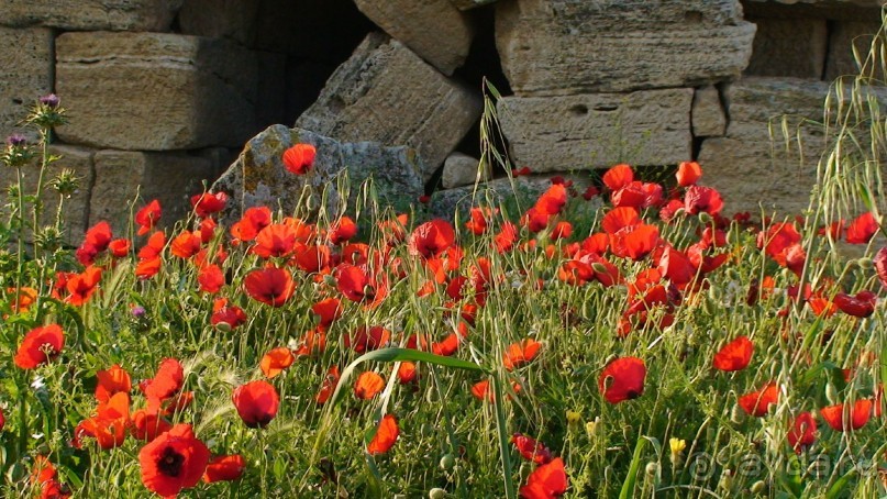 По следам Древних Цивилизаций в Турции: Памуккале 