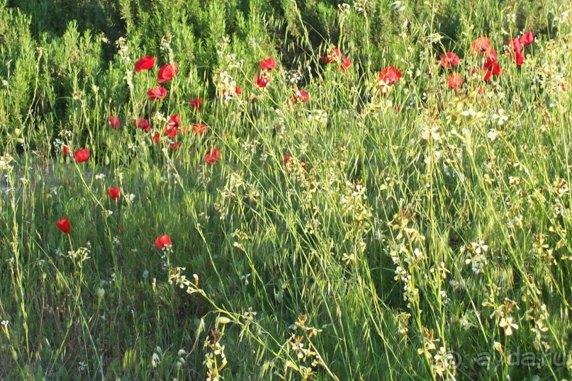 По следам Древних Цивилизаций в Турции: Памуккале 