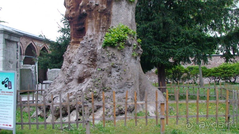 По следам Древних Цивилизаций в Турции: Стамбул и Топкапы - топ копыт, топ копыт, топ копыт...