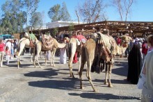 Египет часть 2: Хургада-Бур Сафага-Луксор