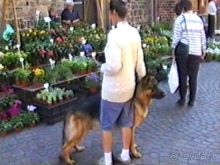 Вторая поездка в Германию на автомобиле: Бремен и регистрация на Зигере