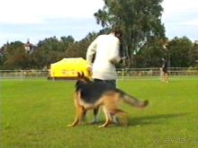 Вторая поездка в Германию на автомобиле: Бремен и регистрация на Зигере