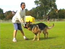 Вторая поездка в Германию на автомобиле: Бремен и регистрация на Зигере