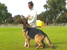 Вторая поездка в Германию на автомобиле: Бремен и регистрация на Зигере