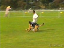 Вторая поездка в Германию на автомобиле: Бремен и регистрация на Зигере