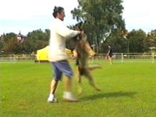 Вторая поездка в Германию на автомобиле: Бремен и регистрация на Зигере