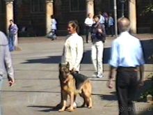 Вторая поездка в Германию на автомобиле: Бремен и регистрация на Зигере