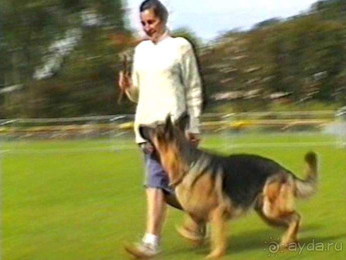 Вторая поездка в Германию на автомобиле: Бремен и регистрация на Зигере