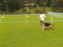 Вторая поездка в Германию на автомобиле: Бремен и регистрация на Зигере