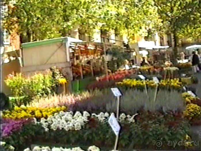 Вторая поездка в Германию на автомобиле: Бремен и регистрация на Зигере