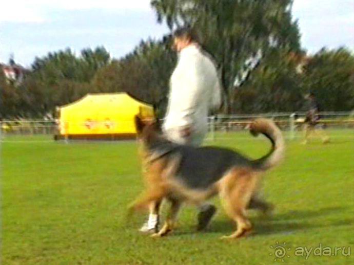 Вторая поездка в Германию на автомобиле: Бремен и регистрация на Зигере