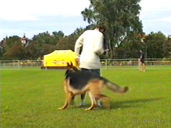 Вторая поездка в Германию на автомобиле: Бремен и регистрация на Зигере