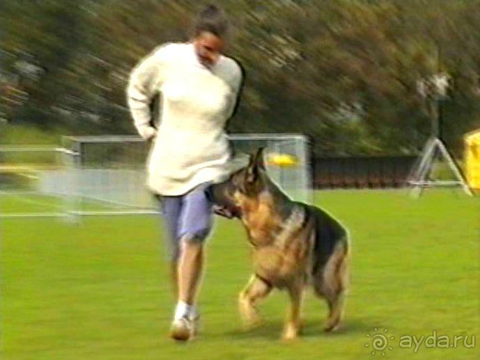 Вторая поездка в Германию на автомобиле: Бремен и регистрация на Зигере