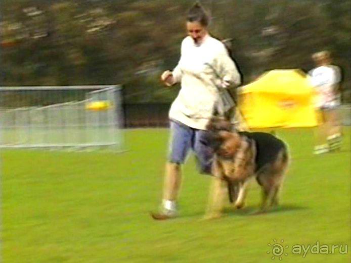 Вторая поездка в Германию на автомобиле: Бремен и регистрация на Зигере