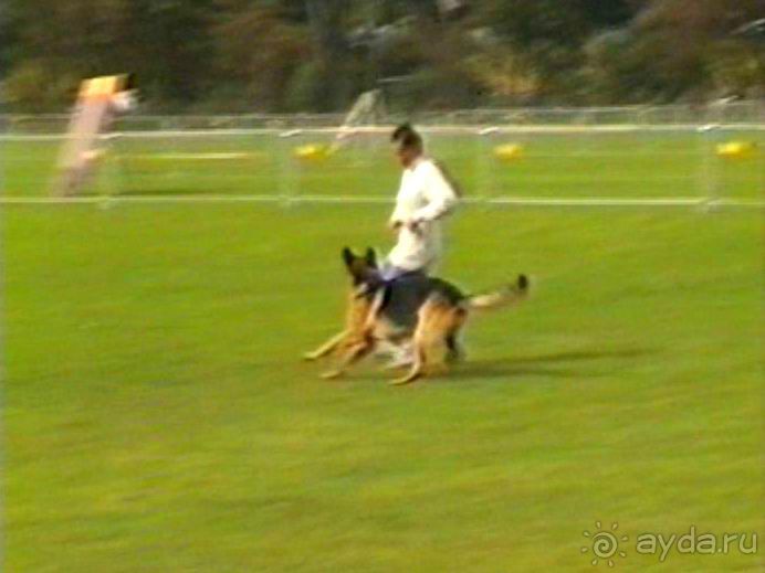 Вторая поездка в Германию на автомобиле: Бремен и регистрация на Зигере