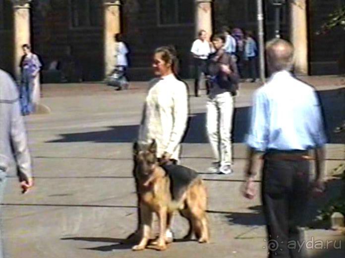 Вторая поездка в Германию на автомобиле: Бремен и регистрация на Зигере