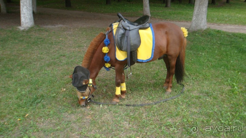 По Рязани. Часть 2