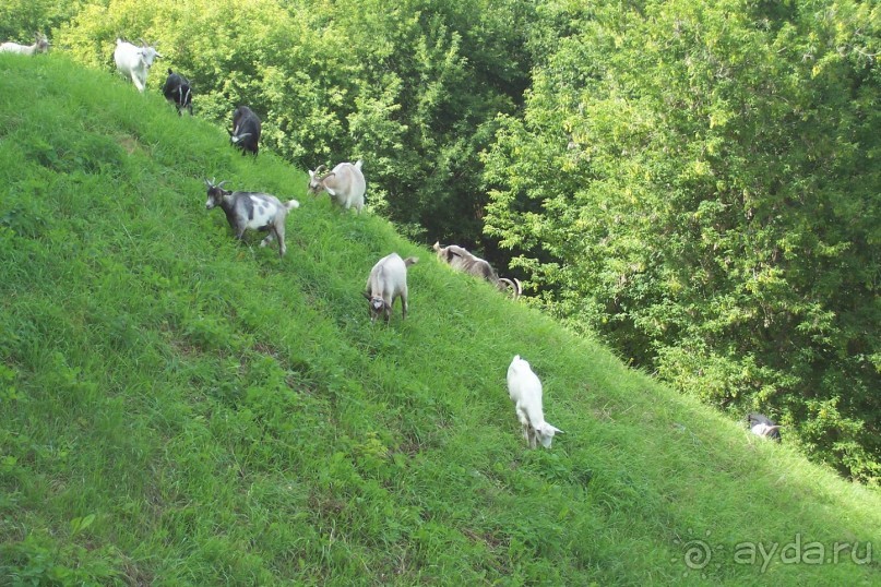 По Рязани. Часть 2