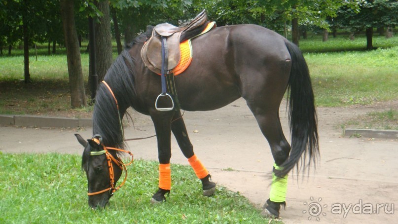 По Рязани. Часть 2