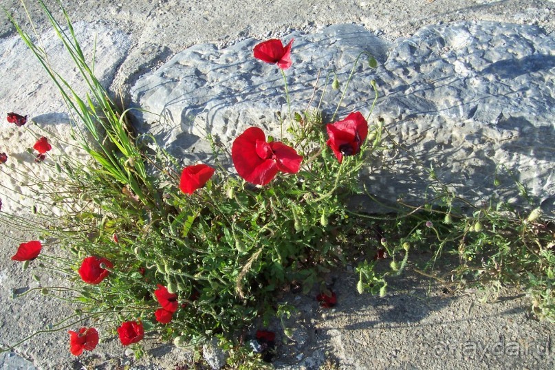 По следам Древних Цивилизаций в Турции: Эфес