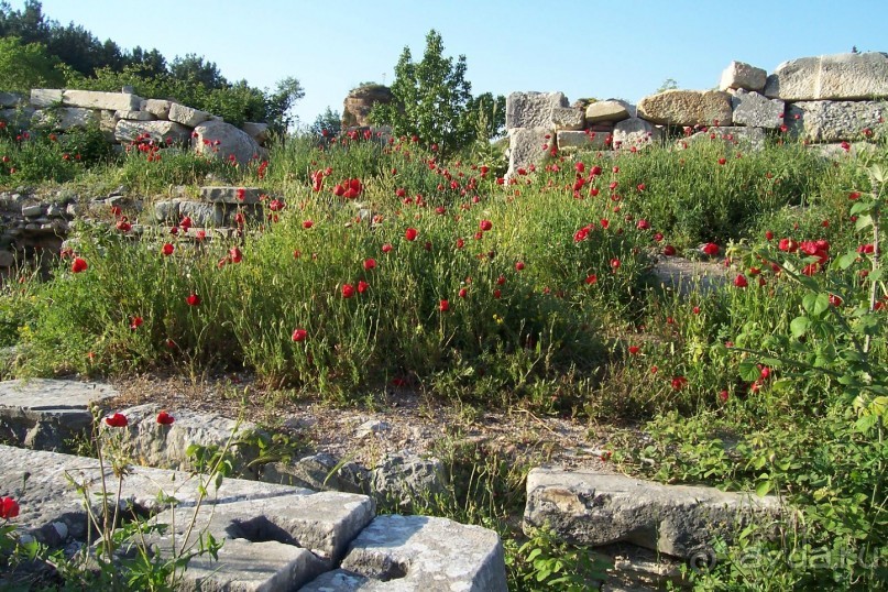 По следам Древних Цивилизаций в Турции: Эфес